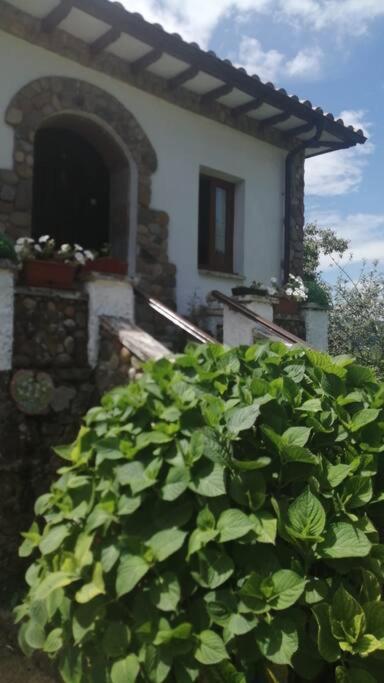 Apartamento En Casa Rural Con Amplio Jardin A 5 Min De La Playa Situacion Inmejorable Ла-Рьера Экстерьер фото